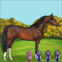 Horse Color:Brown 