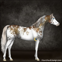 Horse Color:White Spotted Palomino Ice Onyx Splash 