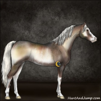 Horse Color:Liver Red Onyx Mushroom Sabino Rabicano 