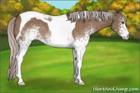 Horse Color:White Spotted Silver Brown Dun Tobiano 