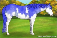 Horse Color:Watercolor Black Splash Rabicano 