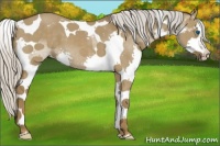 Horse Color:Silver Smoky Grullo Splash Tobiano 
