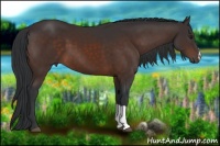 Horse Color:Brown 
