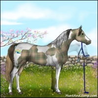 Horse Color:Plaid  Smoky Grullo Tobiano 