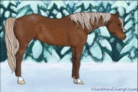 Horse Color:Silver Buckskin 