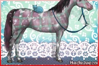 Horse Color:Plaid  White Spotted Brown Dun 