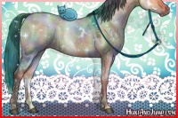 Horse Color:Nacre White Spotted Bay Dun 