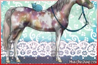 Horse Color:Nacre White Spotted Silver Brown Onyx 