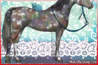 Horse Color:Nacre White Spotted Bay Dun 