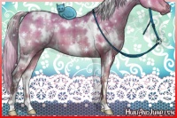 Horse Color:Plaid  White Spotted Silver Brown Dun 