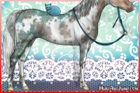 Horse Color:Plaid White Spotted Silver Brown Dun Rabicano