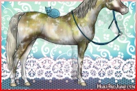 Horse Color:Plaid  White Spotted Silver Brown Onyx Rabicano 