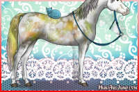Horse Color:Nacre Brown Onyx Sabino 