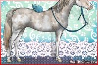 Horse Color:White Spotted Liver Red Dun Ice Pearl Splash 