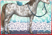 Horse Color:White Spotted Liver Red Dun Ice Appaloosa 