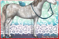 Horse Color:Liver Red Dun Sabino Splash Rabicano 