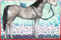 Horse Color:Brown Ice Dun Sabino Splash 