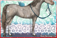 Horse Color:Liver Red Dun Ice Sabino 