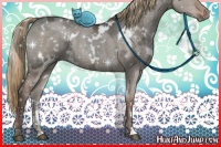 Horse Color:White Spotted Liver Red Dun Ice 