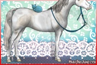 Horse Color:Chocolate Palomino Pearl Dun Sabino Splash Tobiano 