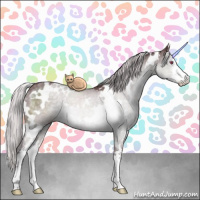 Horse Color:White Spotted Chocolate Silver Grullo Chinchilla Sabino 