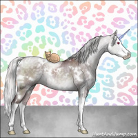 Horse Color:White Spotted Chocolate Silver Grullo Chinchilla Sabino Splash Brindle 