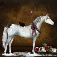 Horse Color:White Spotted Chocolate Silver Smoky Grullo Chinchilla Ice Onyx Sabino Splash Brindle 
