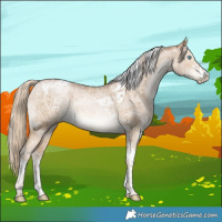 Horse Color:Chocolate Palomino Ice Pearl Dun Tobiano Brindle