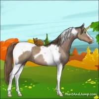Horse Color:Liver Red Dun Tobiano