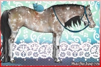 Horse Color:White Spotted Brown Dun Splash
