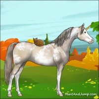 Horse Color:White Spotted Liver Red Dun Pearl Mushroom Splash 