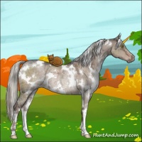 Horse Color:White Spotted Liver Red Dun Ice Mushroom Rabicano Brindle 