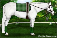 Horse Color:White Spotted Cremello Sabino Splash Rabicano