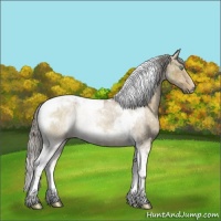 Horse Color:Chocolate Palomino Roan Dun Tobiano