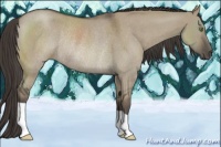 Horse Color:Smoky Grullo Roan Rabicano 