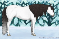 Horse Color:Gray Liver Chestnut Sabino Splash Near Fewspot 