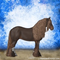 Horse Color:Liver Chestnut Rabicano 