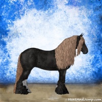 Horse Color:Liver Chestnut Ice Rabicano 