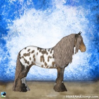 Horse Color:Chocolate Palomino Roan Appaloosa Rabicano 