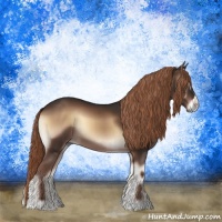 Horse Color:Liver Red Onyx 