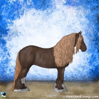 Horse Color:Liver Chestnut Rabicano 