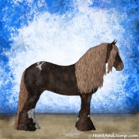 Horse Color:Liver Chestnut Ice Varnish Rabicano 