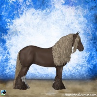 Horse Color:Liver Chestnut Rabicano