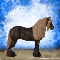 Horse Color:Liver Chestnut Ice Rabicano 