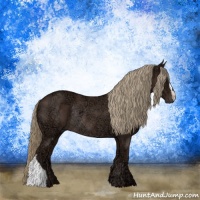 Horse Color:Liver Chestnut Ice Rabicano