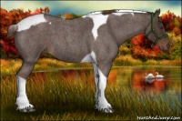Horse Color:Liver Red Roan Tobiano 