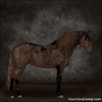 Horse Color:Void Liver Chestnut Tobiano 