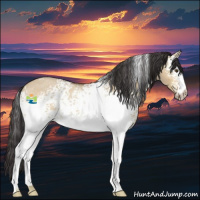 Horse Color:White Spotted Buckskin Roan Dun Rabicano