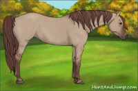 Horse Color:Chocolate Smoky Grullo Roan 