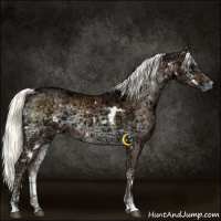 Horse Color:White Spotted Liver Red Onyx Ice Mushroom Sabino